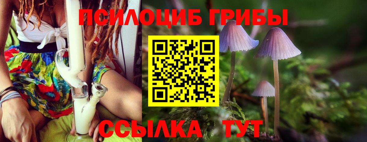Псилоцибиновые грибы Magic Shrooms  Вход с VPN  Воскресенск 